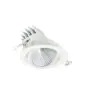 Philips LED-Spot LuxSpace Accent Performance RS781B 40W 4550lm 36D - 930 Warmweiß | 170mm - Höchste Farbwiedergabe