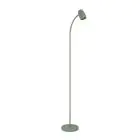 Eglo Stehlampe Carlo Stahl Grün | Geeignet für E14