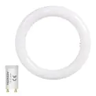 Noxion LED Röhre T9 Avant rund (EM/Mains) 12W 1200lm - 840 Kaltweiß | Ersatz für 22W
