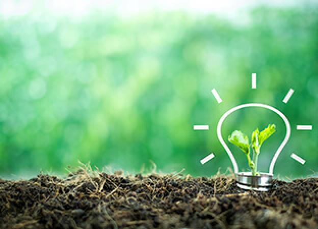 Umweltfreundliche LED-Beleuchtung für Unternehmen 